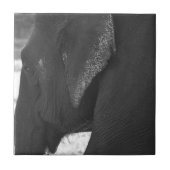 Elefant Fliese (Vorderseite)