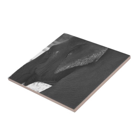 Elefant Fliese (Seite)