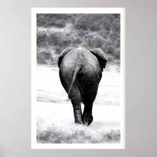 Elefant Fotodruck Monochrom Natur Kunst Poster