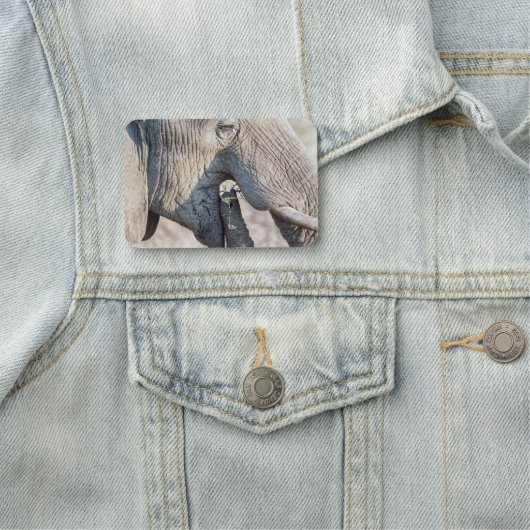 Elefant füttre namensschild (Beispiel)