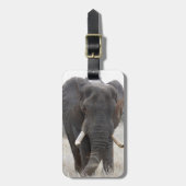 Elefant-Gepäckanhänger Gepäckanhänger (Vorderseite vertikal)