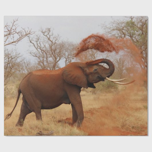 Elefant Geschenkpapier (Flach)