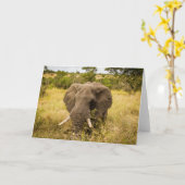 Elefant-Gruß-Karte Karte (Gelbe Blume)