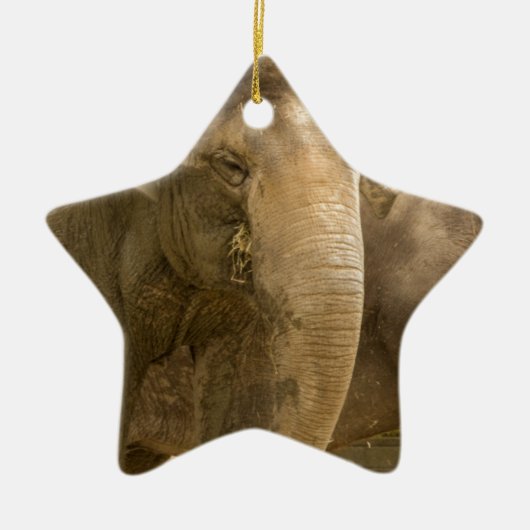 Elefant/Heffalump Keramik Ornament (Vorne)
