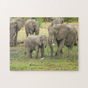 Elefant Herd Foto Puzzle