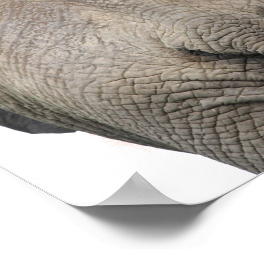 Elefant hinter dem Kinderzimmer Poster (Ecke)