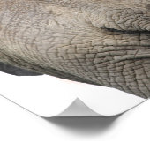 Elefant hinter Kinderzimmer-Druck Poster (Ecke)