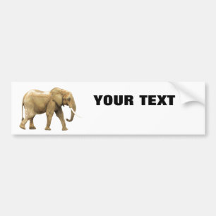 Elefant Ihr Text "Folio besonders mutig" auf Weiß Autoaufkleber