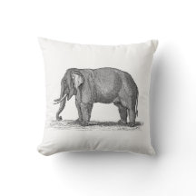 Elefant Illustration aus dem 19. Jahrhundert - Ele
