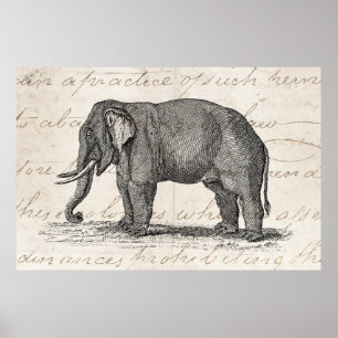 Elefant Illustration Vintage 1800er Jahre - Elefan Poster