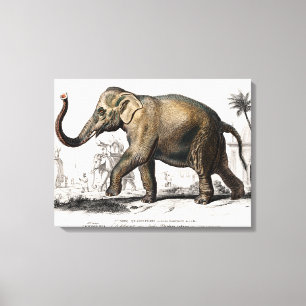 Elefant Illustration Vintage Kunst Druck Leinwanddruck