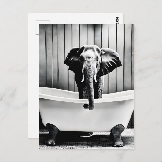 Elefant im Bad Postkarte (Vorne/Hinten)