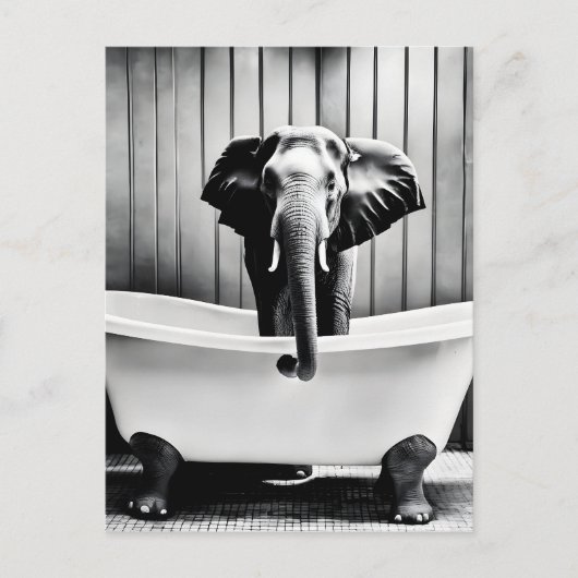 Elefant im Bad Postkarte (Vorderseite)