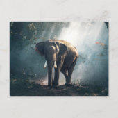 Elefant im Dschungel Postkarte (Vorderseite)