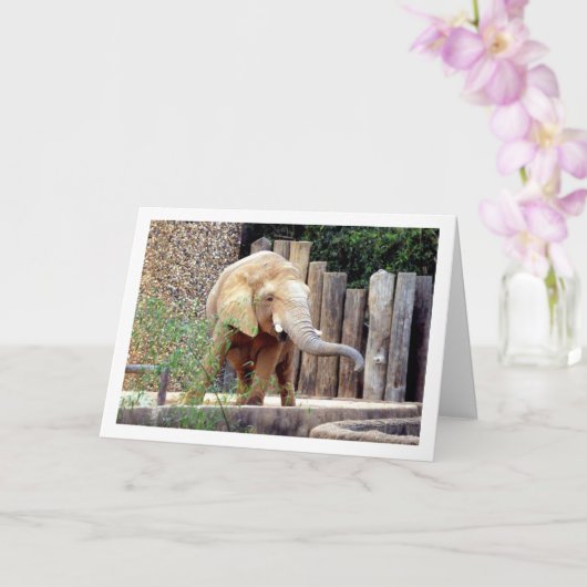 Elefant im Park Karte (Orchidee)