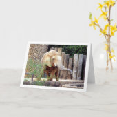 Elefant im Park Karte (Gelbe Blume)