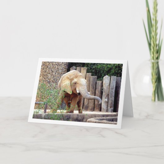 Elefant im Park Karte (Vorderseite)