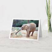 Elefant im Park Portrait Karte (Vorderseite)