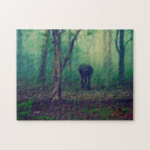 Elefant im Wald.