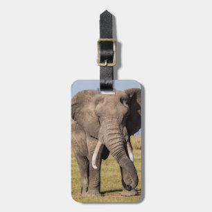 Elefant in aggressiver Pose Gepäckanhänger