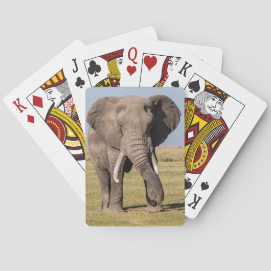 Elefant in aggressiver Pose Spielkarten (Rückseite)