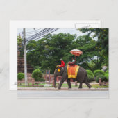 Elefant in Ayutthaya Thailand Postkarte (Vorne/Hinten)