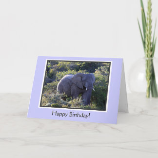 Elefant in Bäumen glücklich Geburtstag Karte