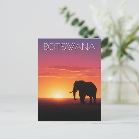Elefant in Botswana Postkarte (Stehend Vorderseite)