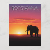 Elefant in Botswana Postkarte (Vorderseite)