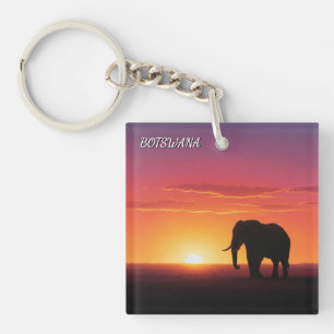 Elefant in Botswana Schlüsselanhänger