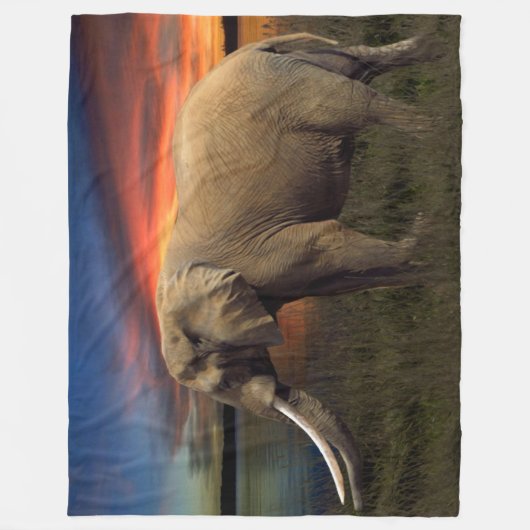 Elefant in der Sonnenuntergang-Fleece-Decke, groß Fleecedecke (Vorderseite)