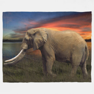 Elefant in der Sonnenuntergang-Fleece-Decke, groß Fleecedecke