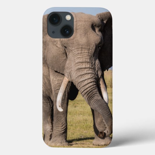 Elefant in einer aggressiven Pose Case-Mate iPhone Hülle (Rückseite)