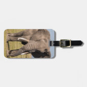 Elefant in einer aggressiven Pose Gepäckanhänger (Vorderseite horizontal)