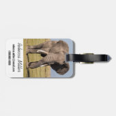 Elefant in einer aggressiven Pose Gepäckanhänger (Rückseite horizontal)