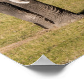 Elefant in einer aggressiven Pose Poster (Ecke)