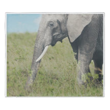 Elefant in Habitat Duvet Cover
