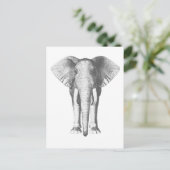 Elefant in Schwarz und Weiß Postkarte (Stehend Vorderseite)
