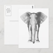 Elefant in Schwarz und Weiß Postkarte (Vorne/Hinten)