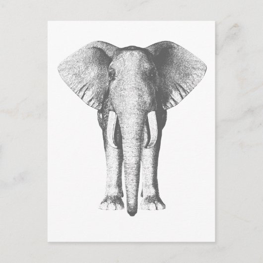 Elefant in Schwarz und Weiß Postkarte (Vorderseite)