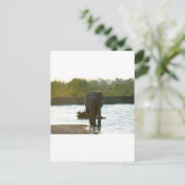 Elefant in Waterhole Postkarte (Stehend Vorderseite)