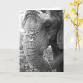 Elefant Karte (Gelbe Blume)