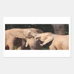 Elefant-Liebe-Aufkleber Rechteckiger Aufkleber