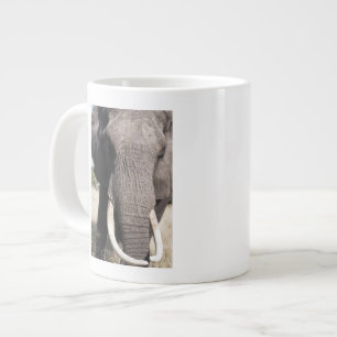 Elefant (Loxodonta africana), Abu Camp 3 Jumbo-Tasse