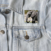 Elefant (Loxodonta africana), Savute Channel Button (Beispiel)