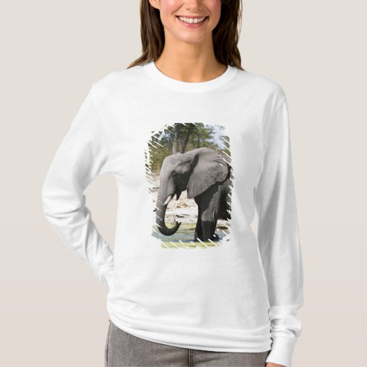 Elefant (Loxodonta africana), Savute Channel T-Shirt (Vorderseite)