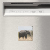 Elefant Magnet (In Situ (Geschirrspüler))