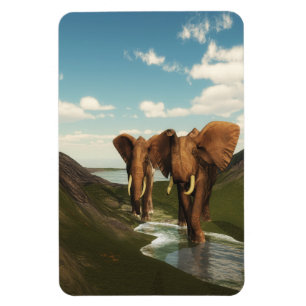 Elefant Magnet