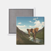 Elefant Magnet (Vorderseite/Rückseite)