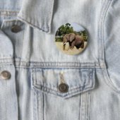 Elefant-Masai Mara, Kenia Abzeichenknopf Button (Beispiel)